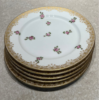 Set of 5 Limoges Plates