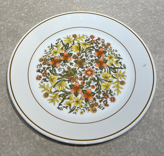 Dinner Plate