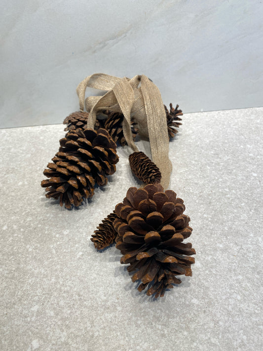 Pinecone Decor