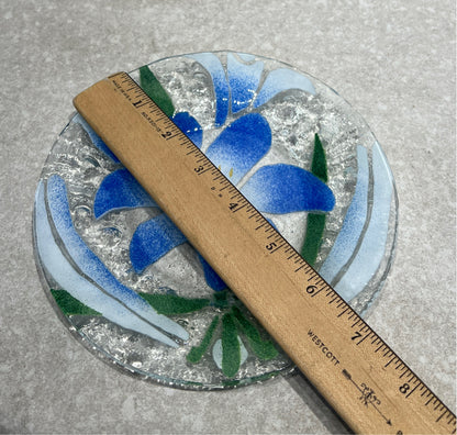 Sydenstriker Plate