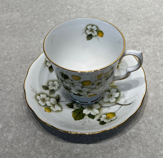 Cup and Saucer
