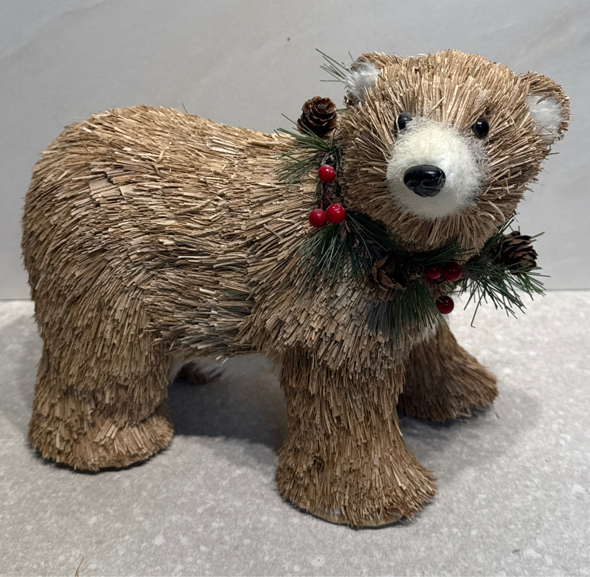 Bear
