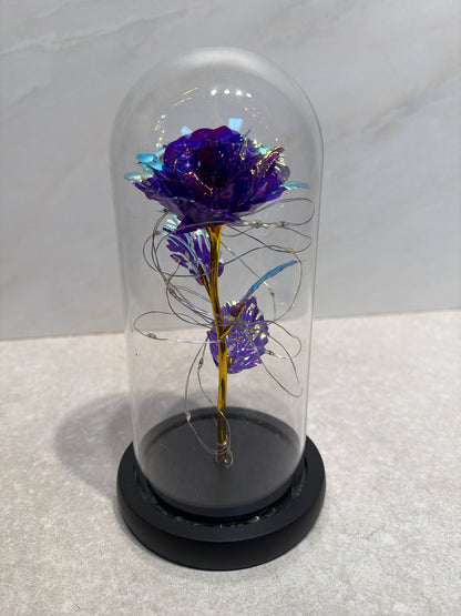 Lighted Decor