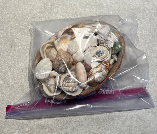 Lot of Shells