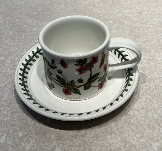 Portmeirion Cup and Saucer