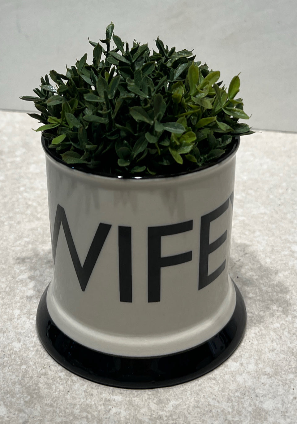 Wifey Plant