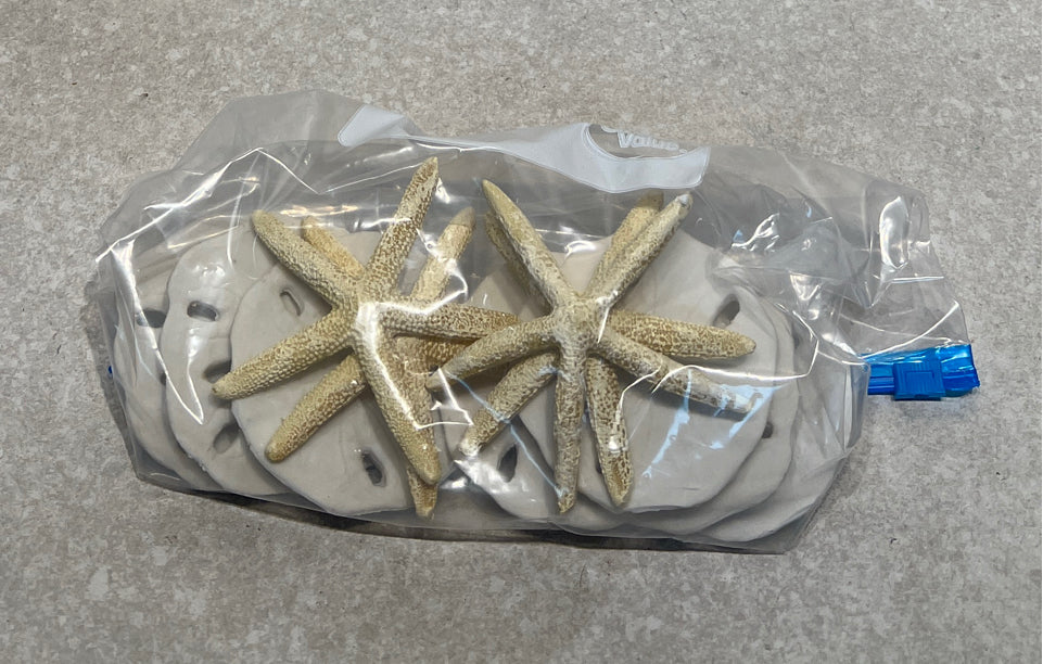 Lot Of Shells