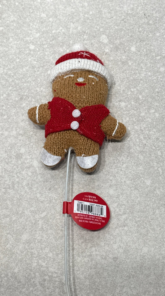 Gingerbread Pic