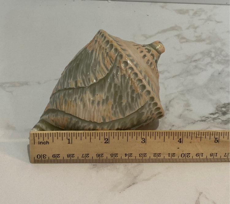 Shell