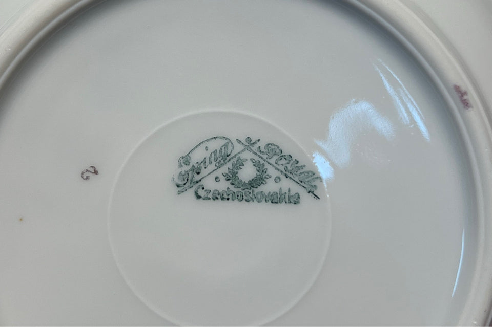 Czech Dinnerware Set