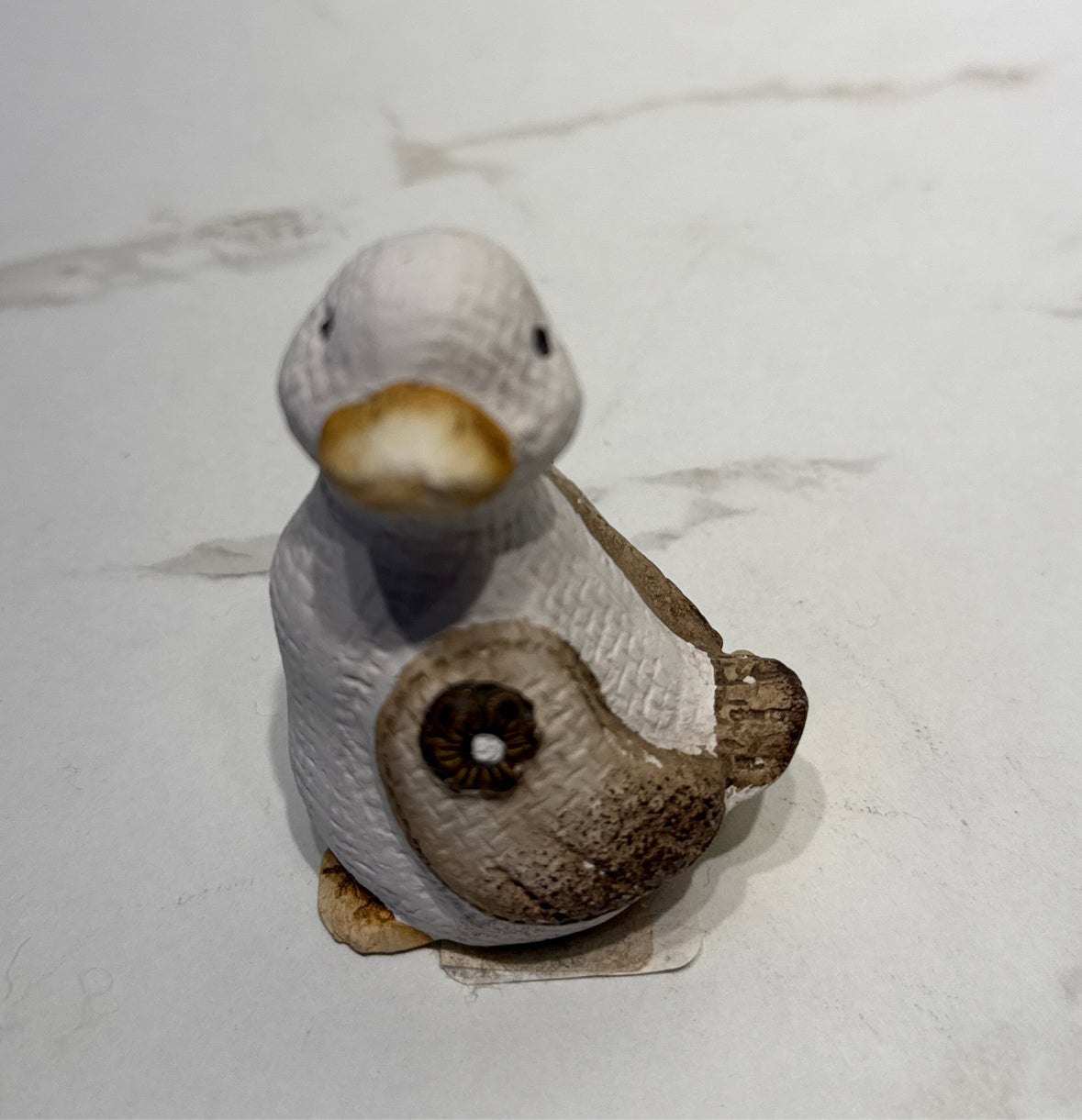 Duck