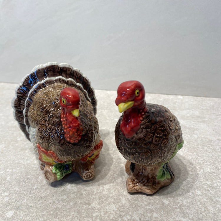 Salt And Pepper Shakers