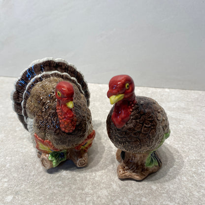 Salt And Pepper Shakers
