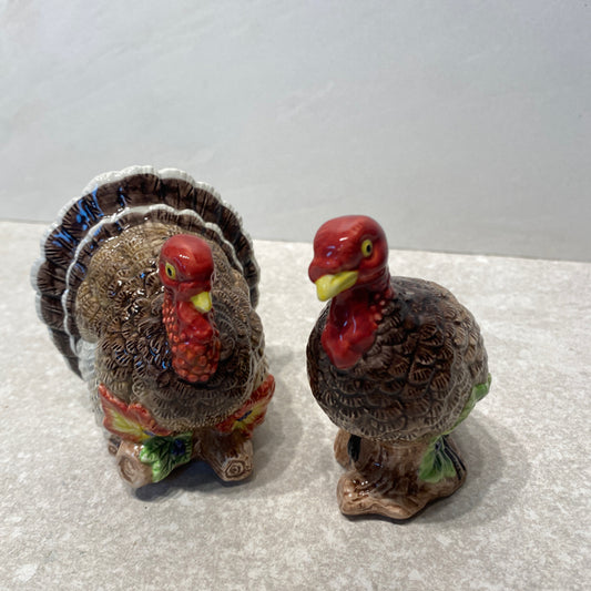Salt And Pepper Shakers