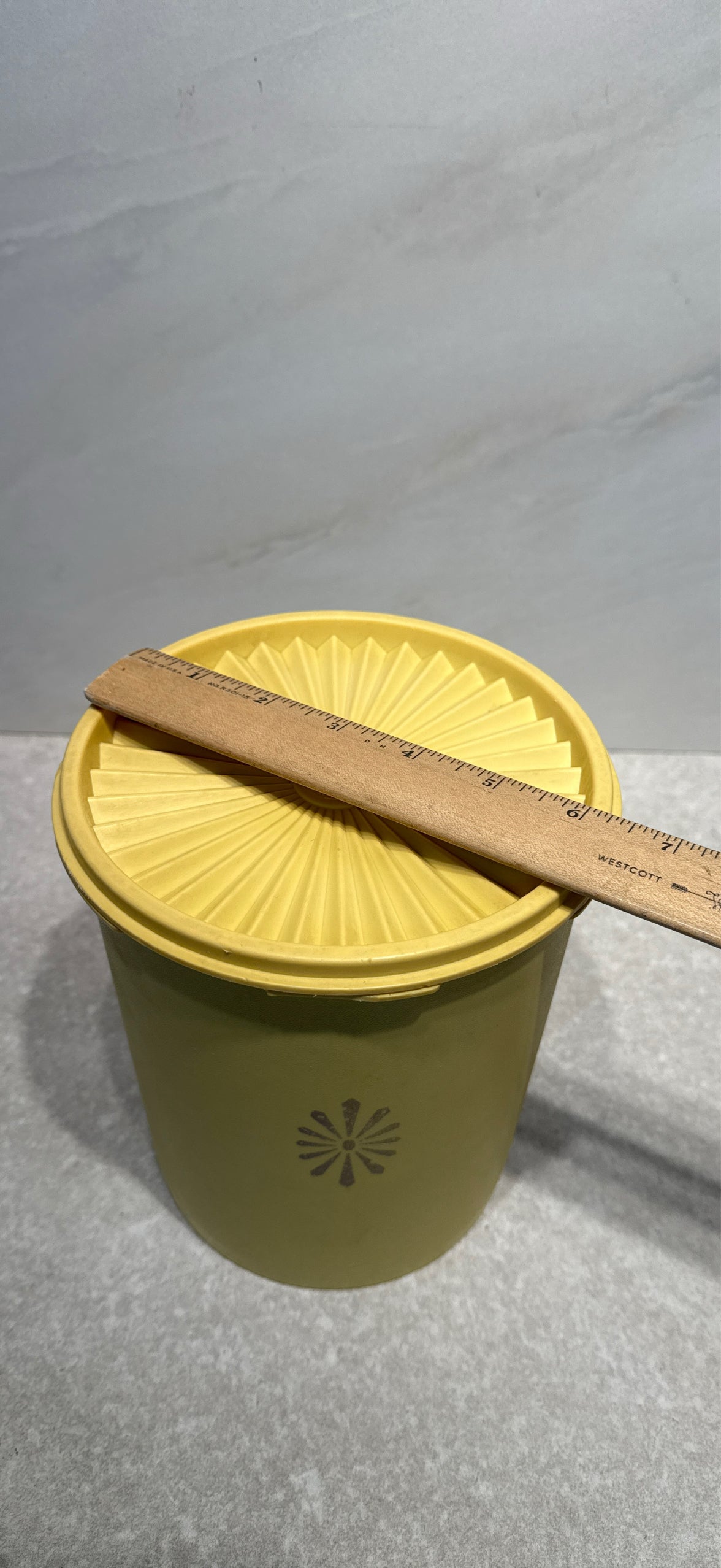 Covered Tupperware Canister