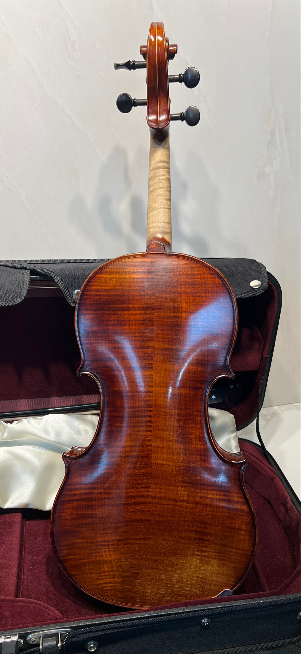 Violin With Bow And Case