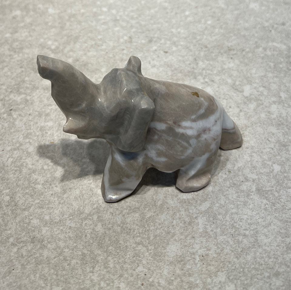 Elephant