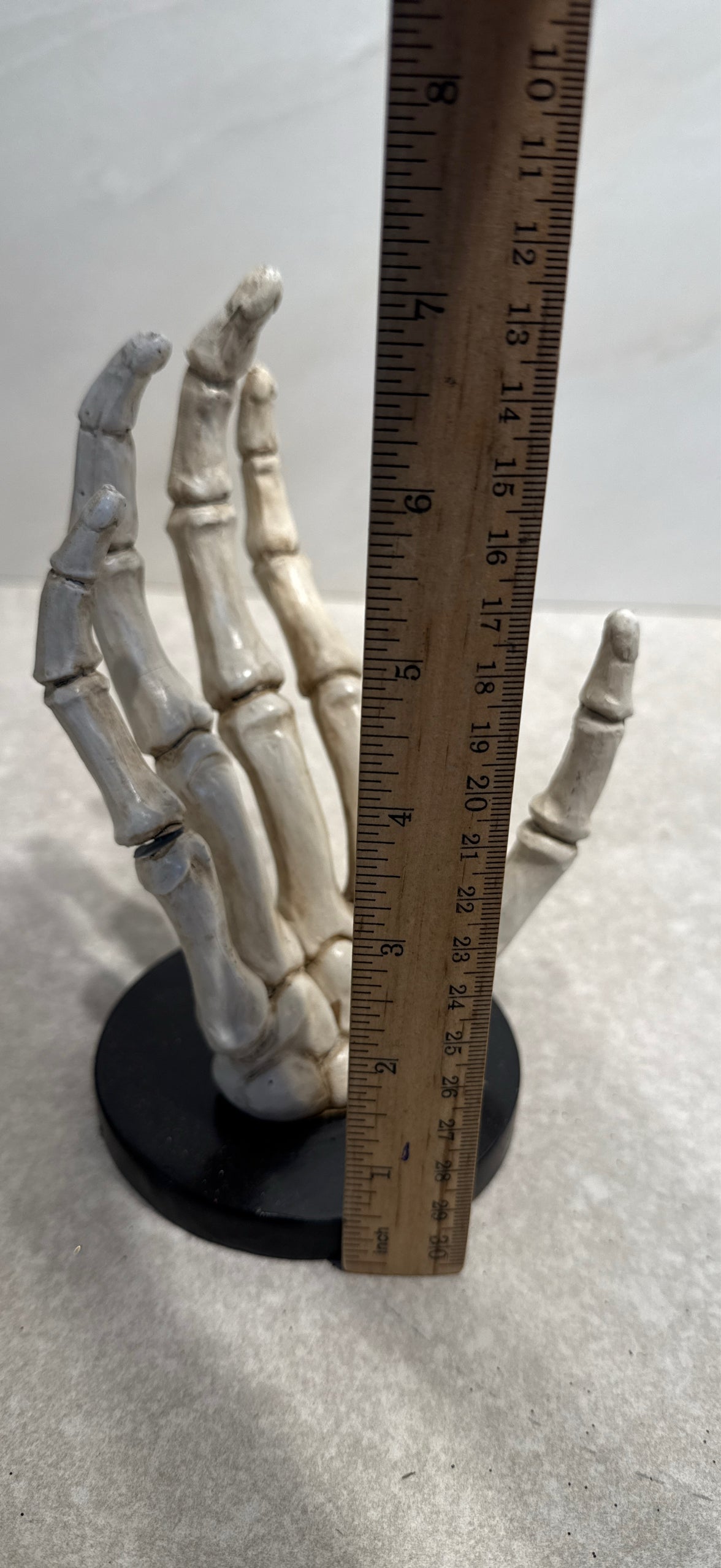 Skeleton Hand Decor