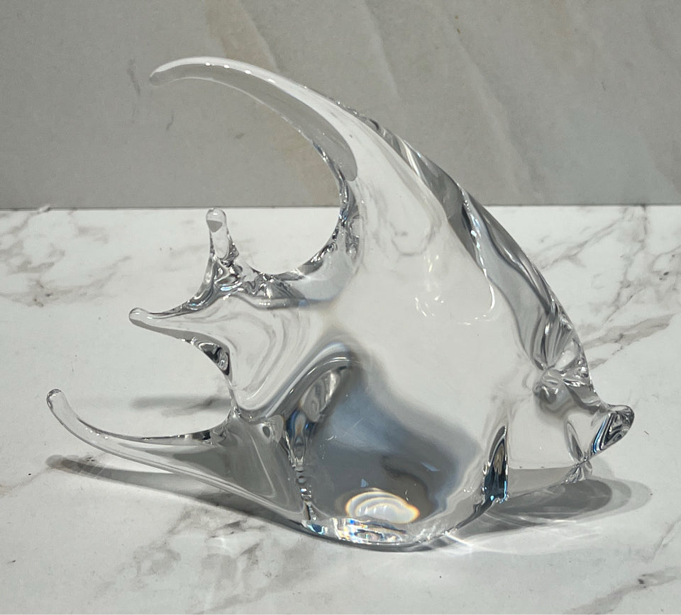 Glass Fish