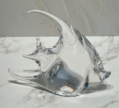 Glass Fish