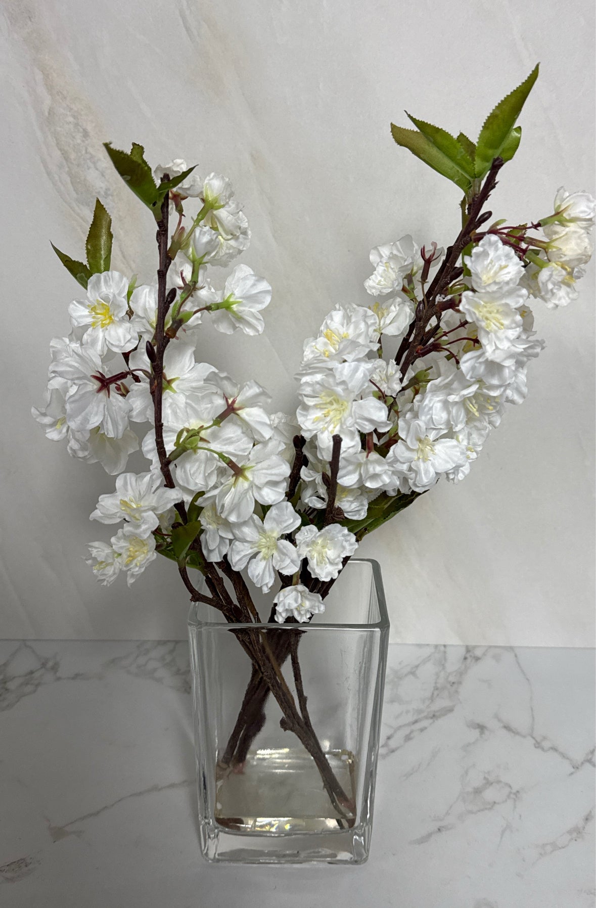Flowers in Vase