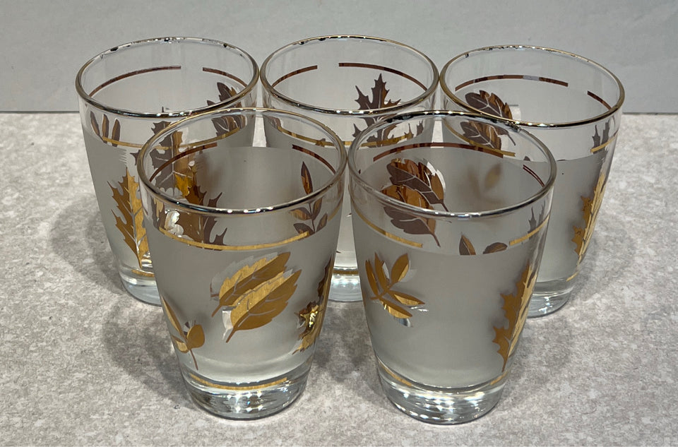 Set of 5 Glasses