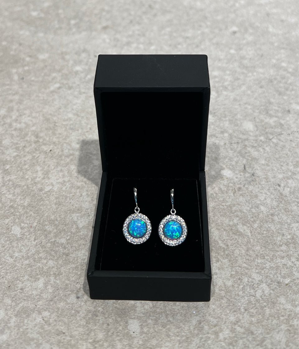 Pul Wright Sterling Earrings