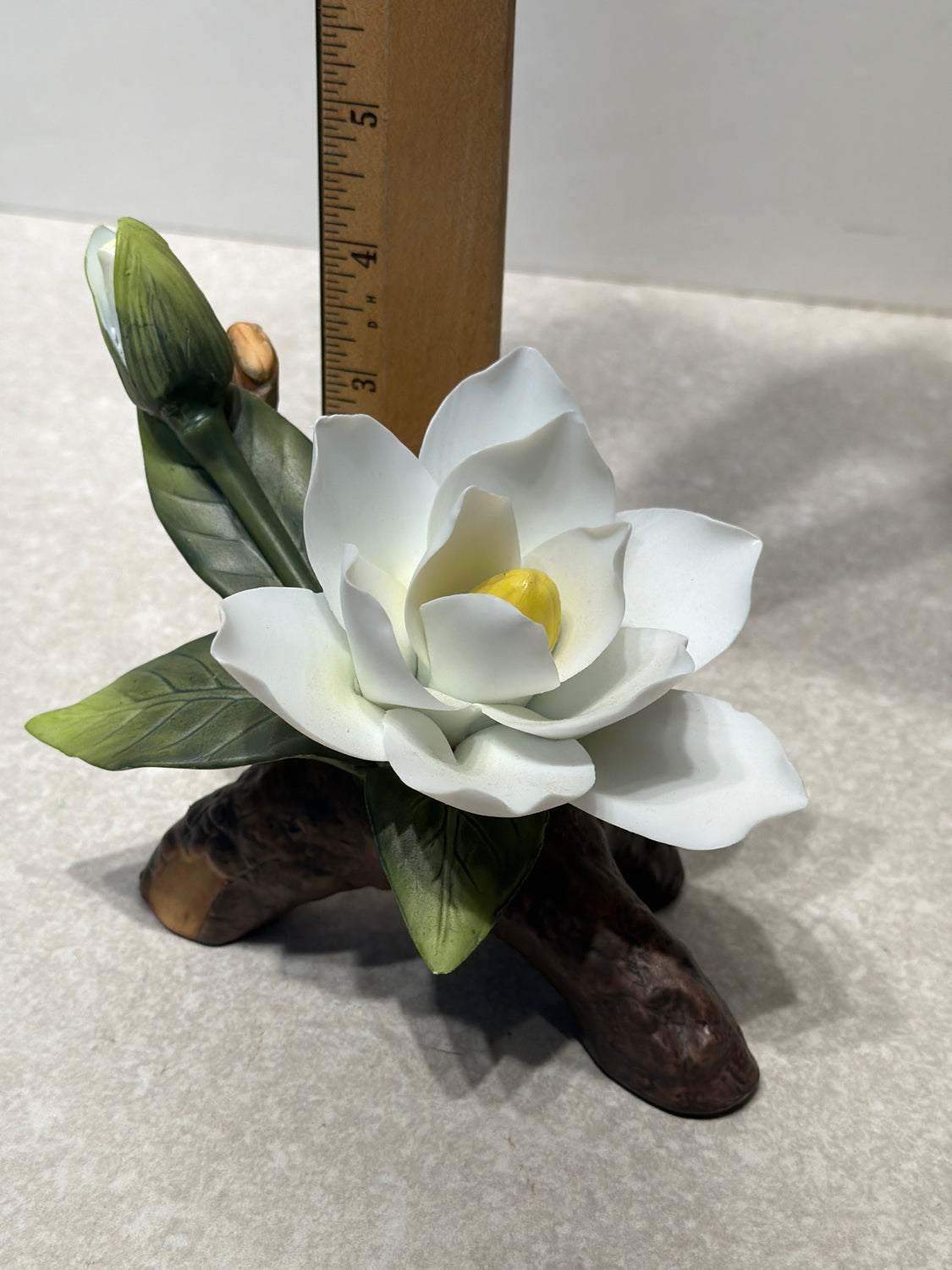 Glass Flowers