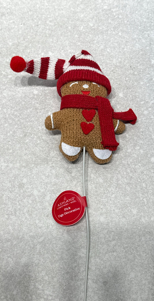 Gingerbread Pic