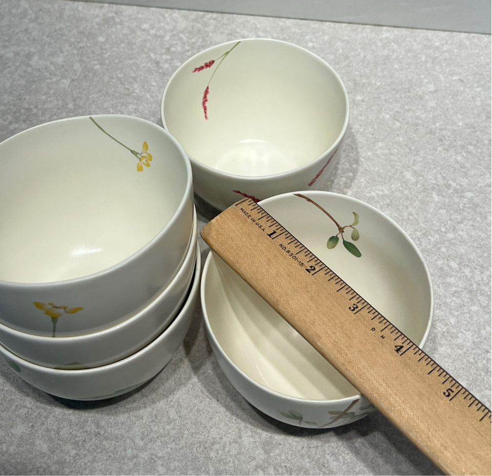 Set of 5 Bowls