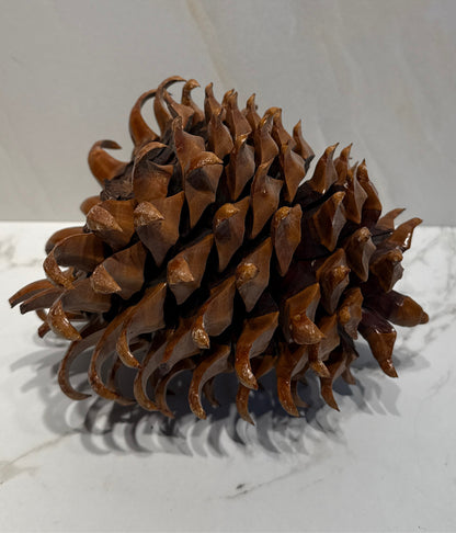 Pinecone Decor