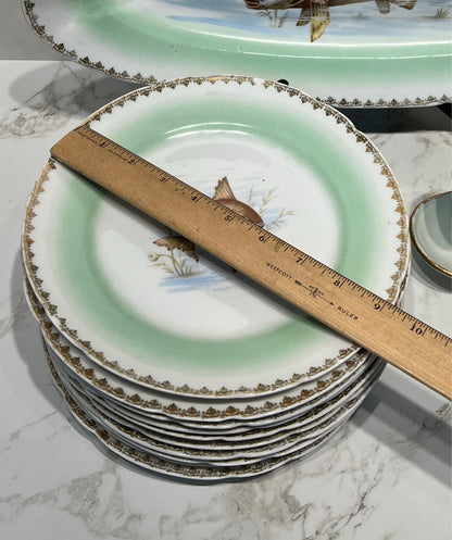 Fish Set