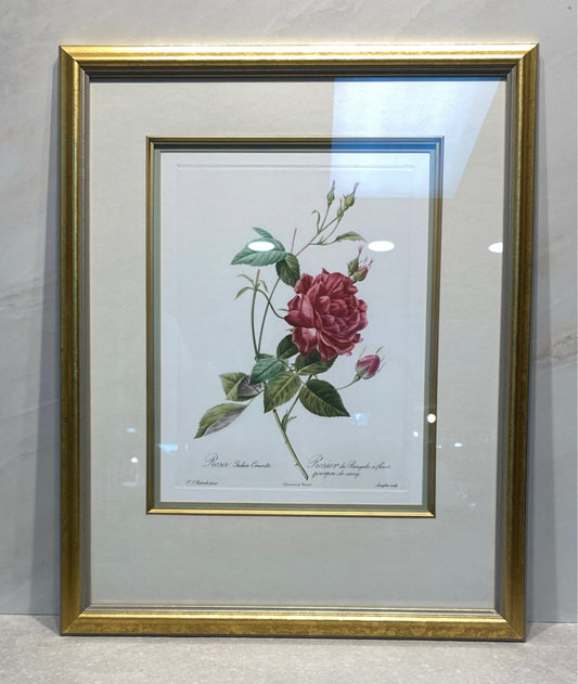 Wall Decor 20X25