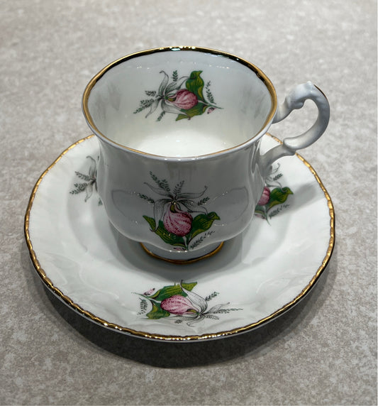 Cup and Saucer