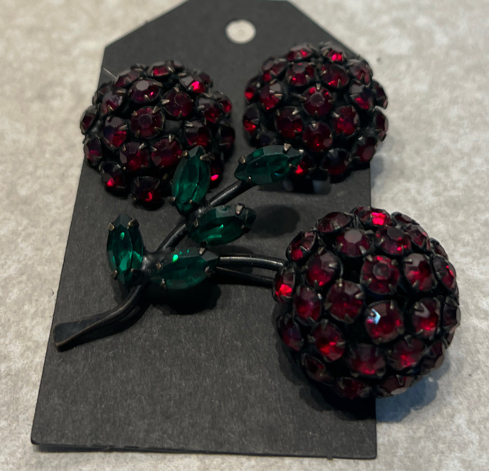 Warner Pin & Clip-On Earrings