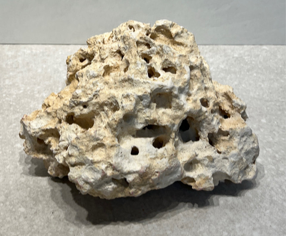Coral