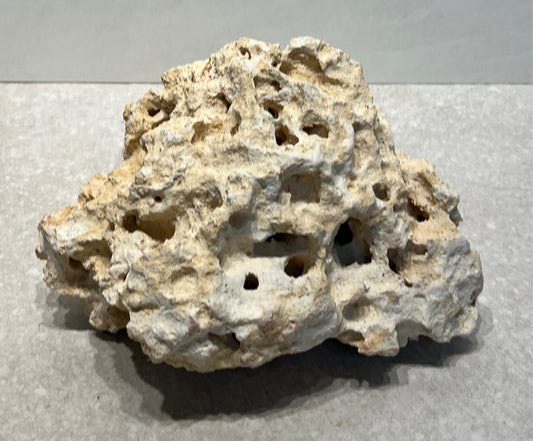 Coral