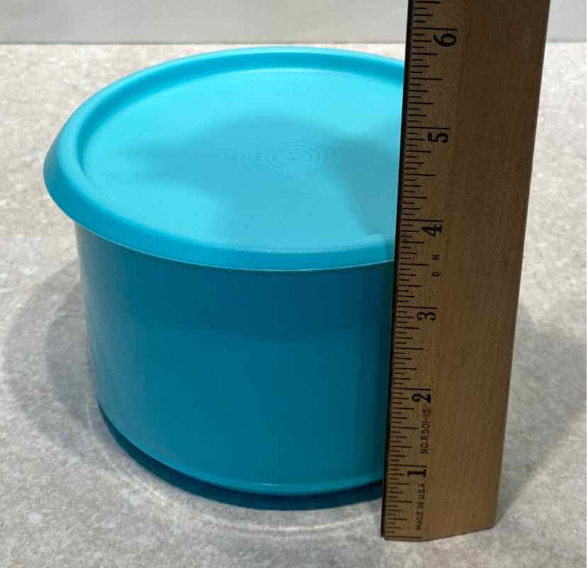 Covered Tupperware Container
