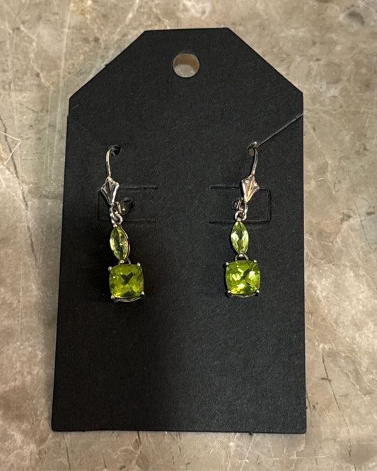 Sterling Earrings