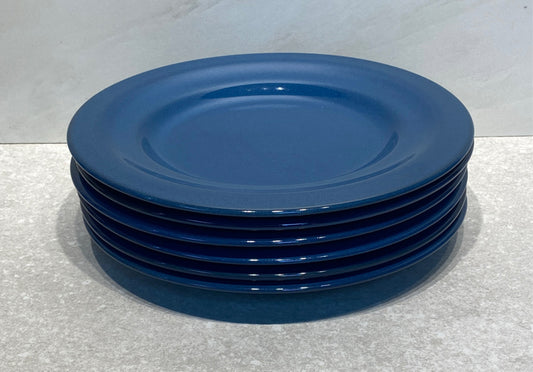 Set of 6 Pier 1 Dinner Plates