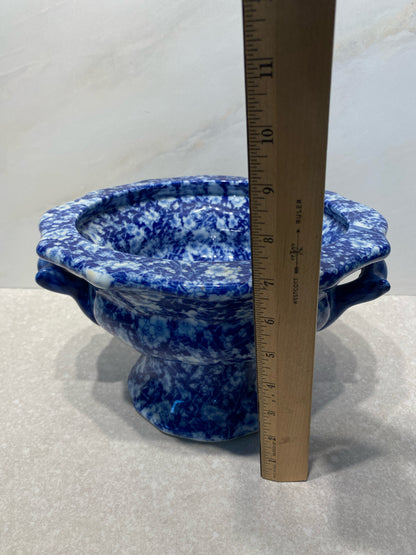 Blue Footed Bowl