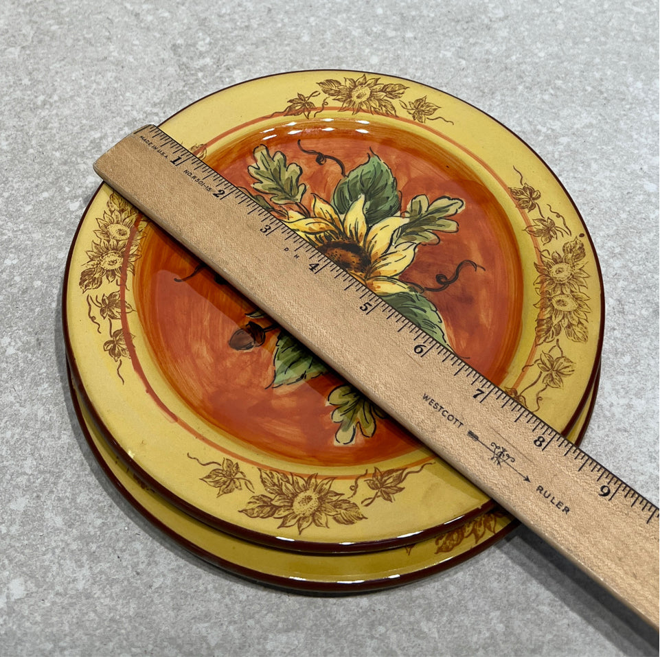 Set of 2 Plates