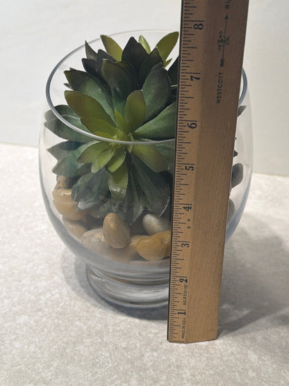 Pottery Barn Succulent