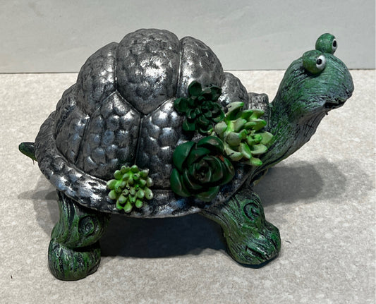 Turtle Decor