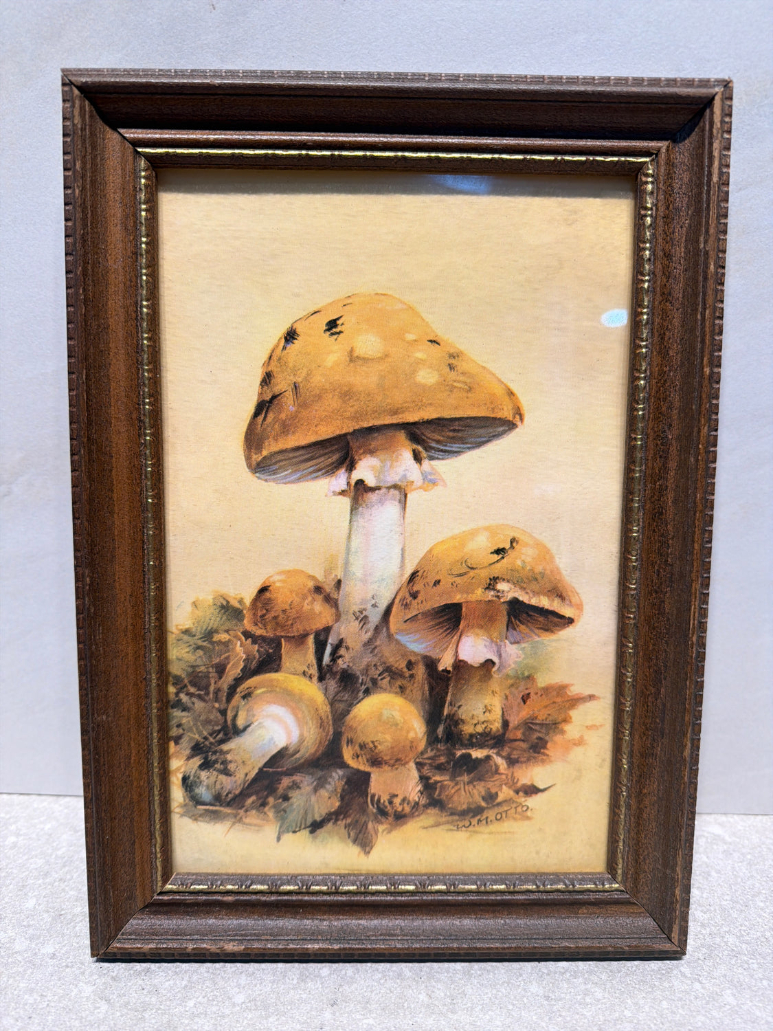 Framed Art