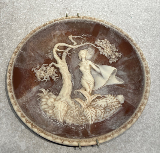 Collectable Plate