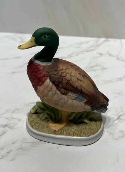 Lefton Duck