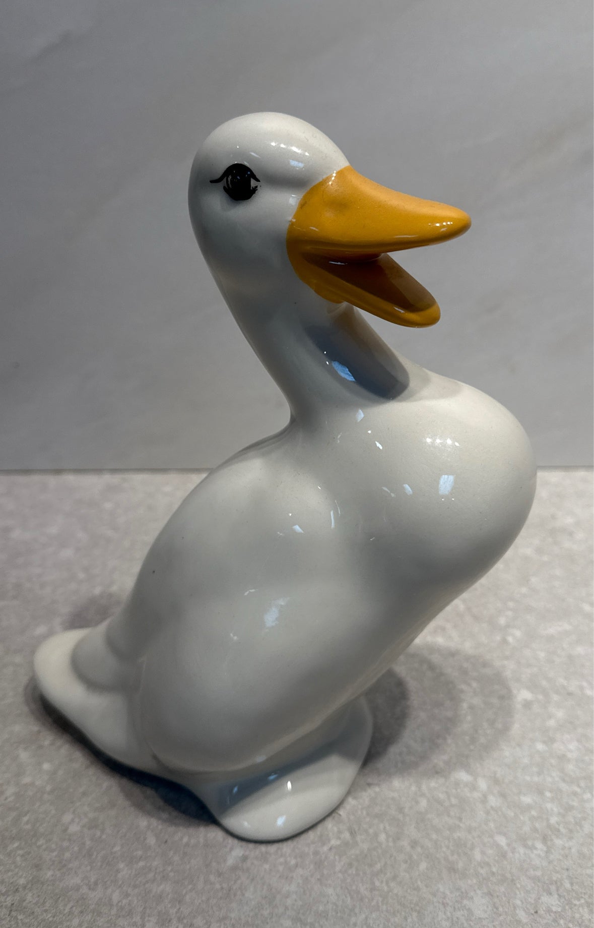 Vintage Duck