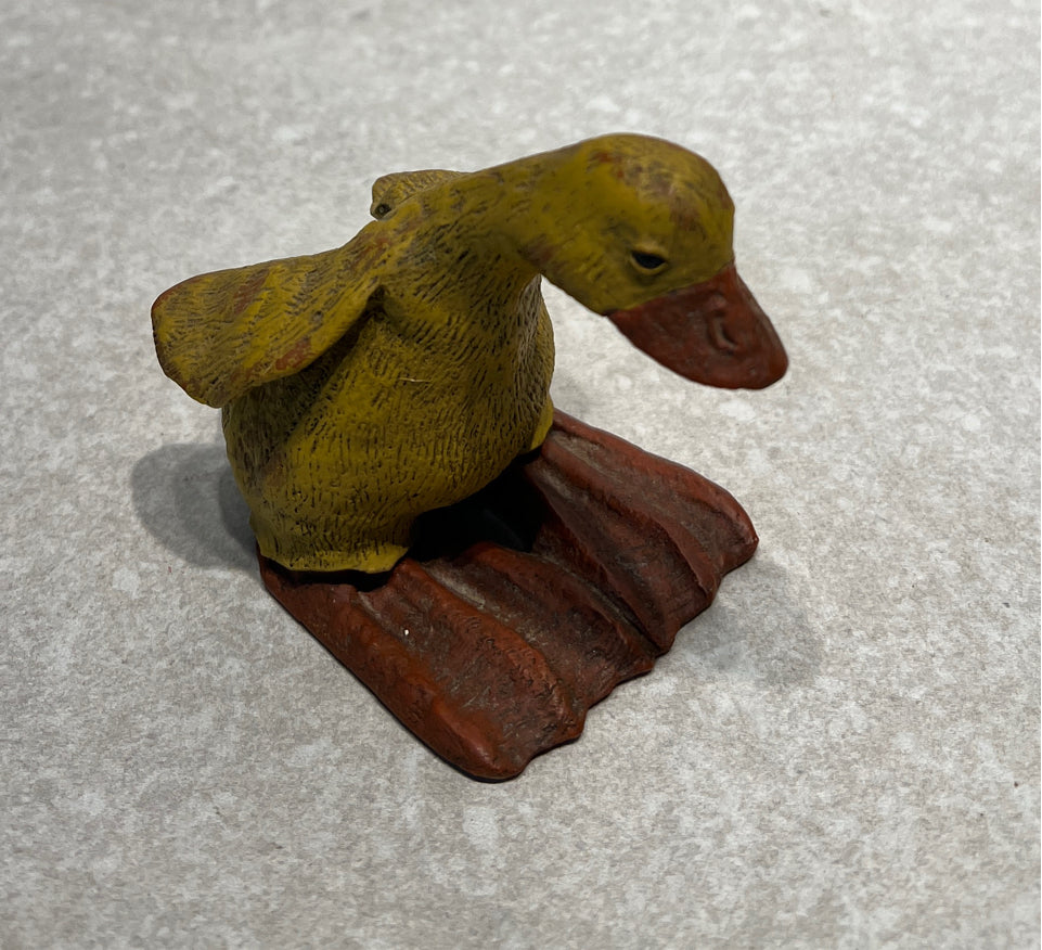 Duck
