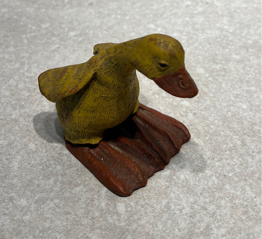 Duck